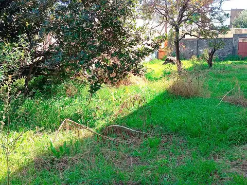 Terreno en Venta 8  mts Frente