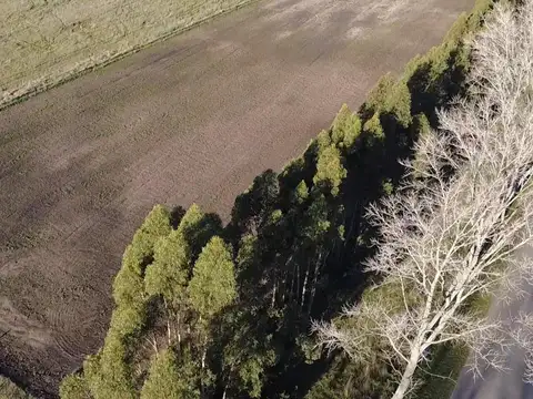 Quinta en Venta en Ayacucho, USD 20.000