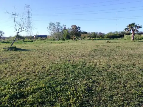 Terreno en Alquiler de 500,0 m2