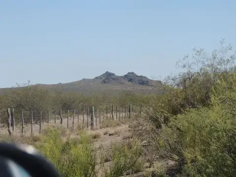 VENTA CAMPO GANADERO 5522 HECTAREAS, SAN RAFAEL,MENDOZA