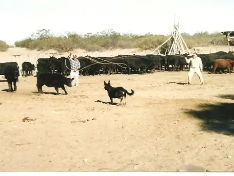 A 38 Km al Oeste de Carmensa