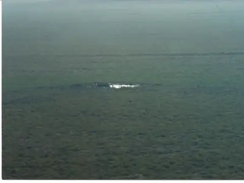 Campo en Venta con Alambrado