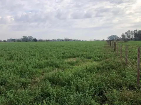 Campo en Venta con Alambrado