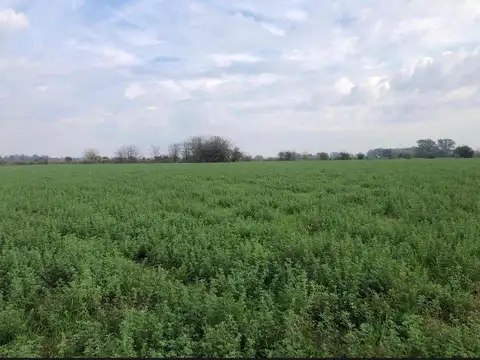 CAMINO CARLOS KEEN/VILLA RUIZ