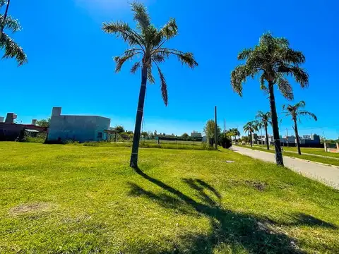 Acequias del Aire y Rio Paraná al NaN