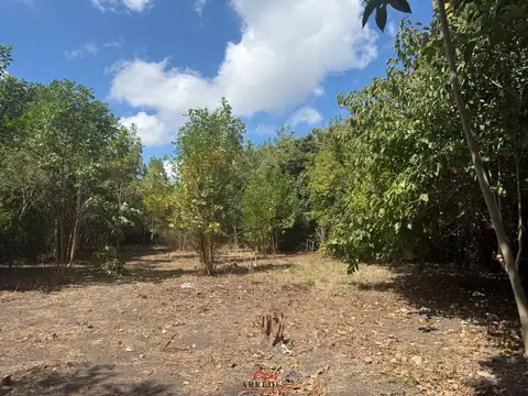 Venta · Lote en venta de 761m2 · arbolado · Barrio Parque Sakura