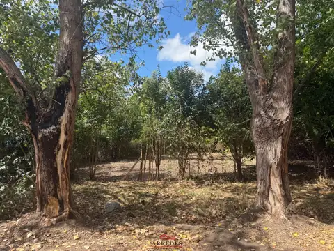 Venta · Lote en venta de 761m2 · arbolado · Barrio Parque Sakura 100