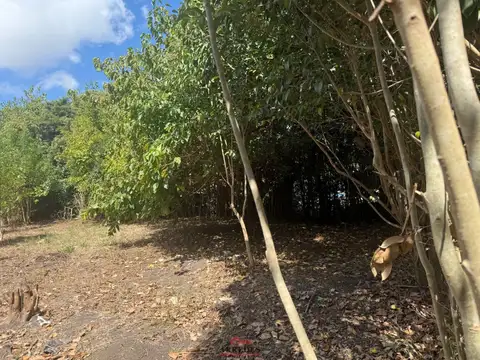 Terreno en Venta 36,50  mts Fondo