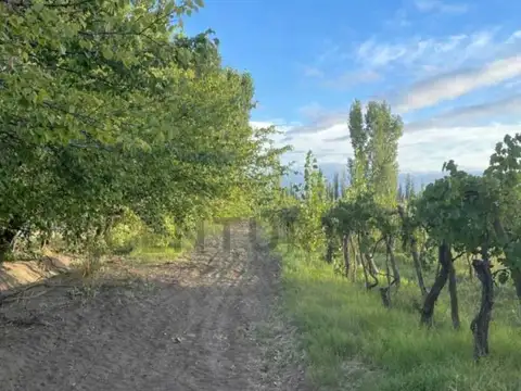 FINCA EN VENTA, IDEAL PARA LOTEO