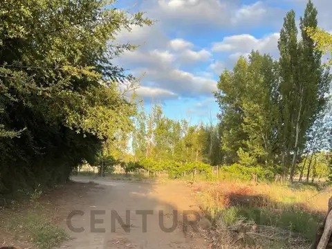 Quinta en Venta en General Alvear, USD 140.000