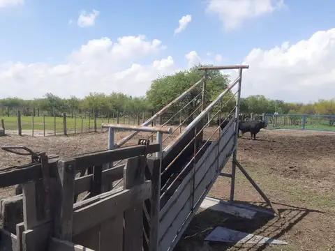 Se vende "Campo La Chispita" en Independencia