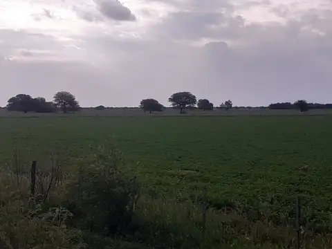 Terreno en Venta de 17930000,0 m2