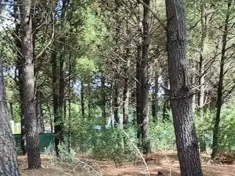 Terreno en Venta 28  mts Frente