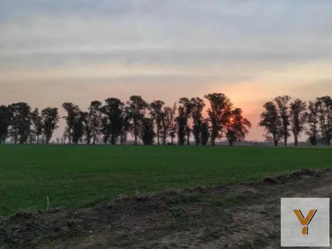 Terreno en venta - 1325mts2 - Isla, Los Tres Pinos, General Rodríguez