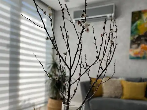 Casa 4 ambientes con 4 baños