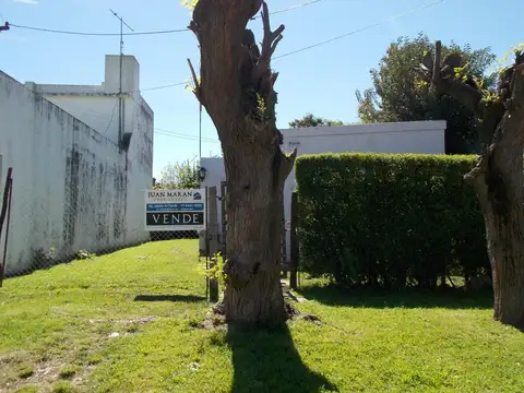 Chacabuco 100