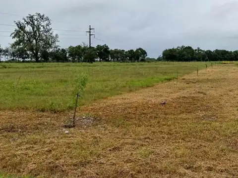 Terreno en Venta de 502,0 m2