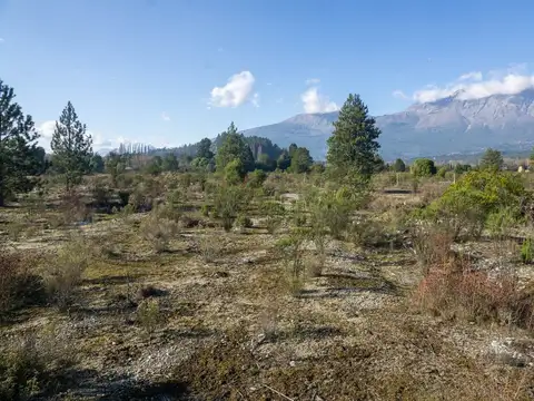 Ruta 16