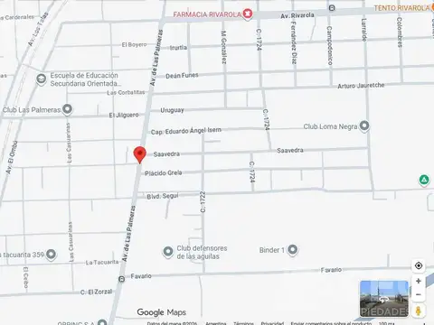 El Hornero 100 ( Godoy al 7000 )