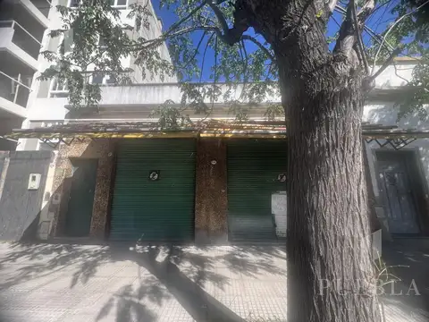 Pizarro 6100