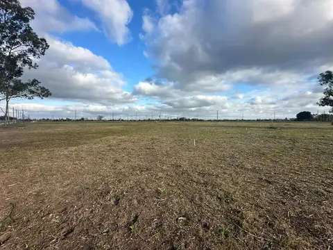 Terreno en Venta de 320,0 m2