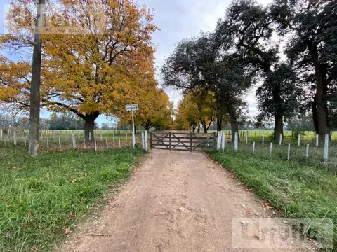 Terreno en Venta de 1460000,0 m2