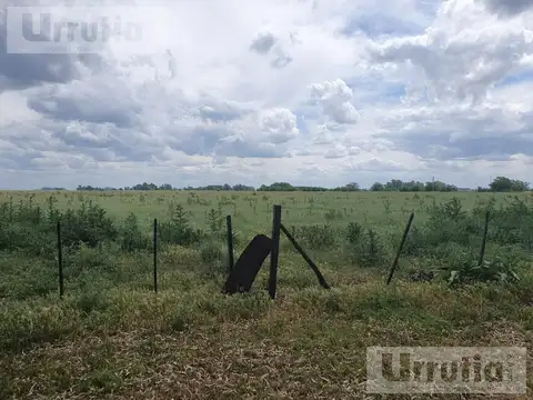 Terreno en Venta de 1460000,0 m2