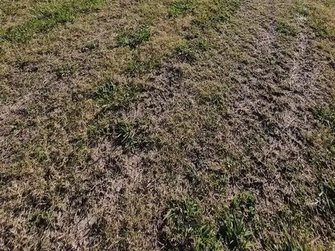 Terreno en Venta en Barrio El Campo - Fincas Exclusivas Cardales, USD 28.000
