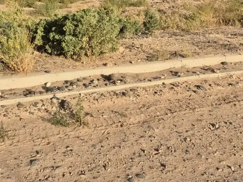 Ministro Amancio Alcorta 200