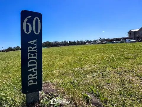 Terreno - Mar Del Plata