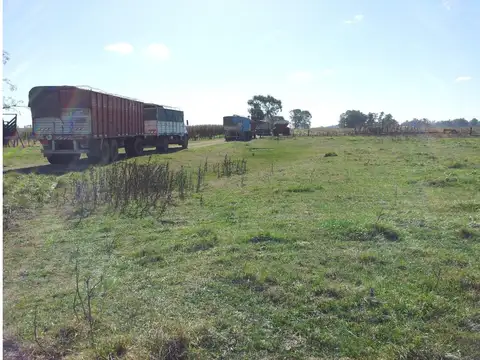 Campo 323 has en Roque Perez RETAZADO