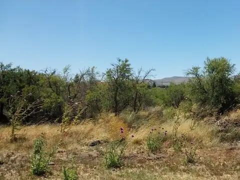 Terreno en Venta en San Martín de los Andes, USD 48.000