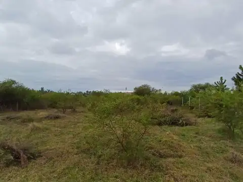 Terreno en Venta 44  mts Fondo