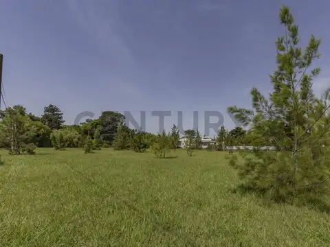 Terreno en Venta 40  mts Fondo