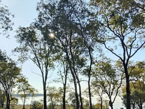 Terreno en Venta 20  mts Fondo