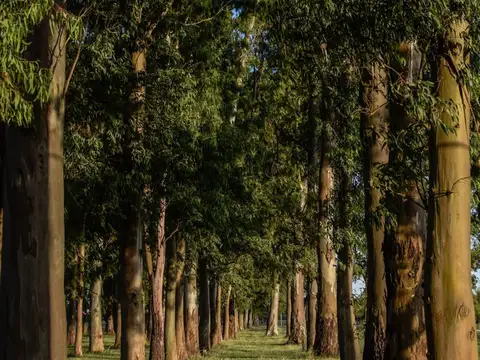 Terreno en Venta de 2245,0 m2