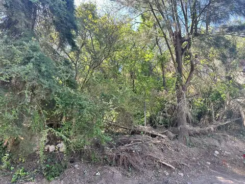 Lote en venta en Villa Belgrano