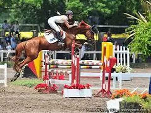 San Alfonso del Talar