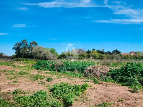 Terreno en Venta en Villa Rosa, USD 3.500.000