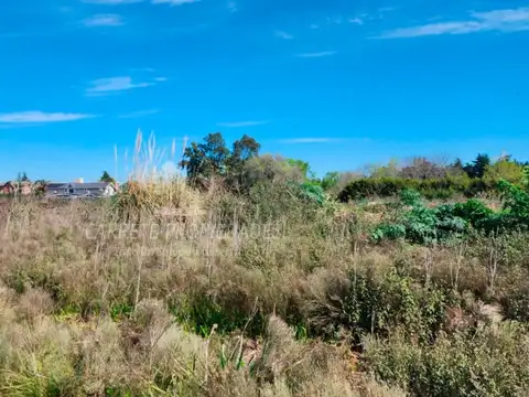 Terreno en venta para Desarrollo Inmobiliario 11,5 ha, a 300mts Ramal Pilar. 100