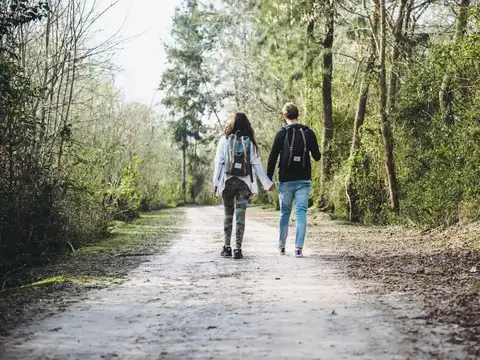 Terreno en Venta de 620,0 m2