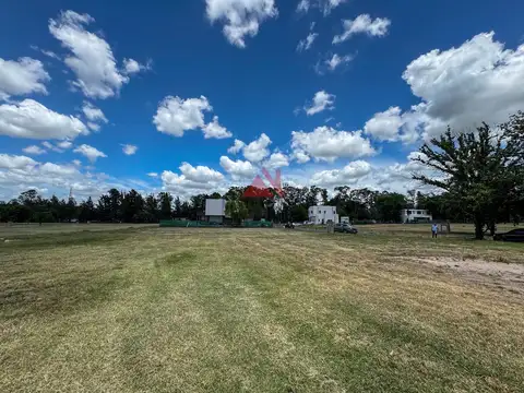 RESERVADO! - Azzurra Tortugas 100