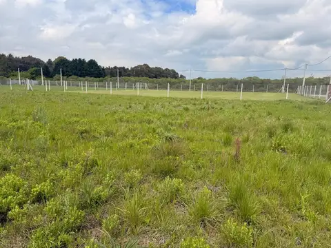Terreno en Venta en Parque Sakura, USD 32.000