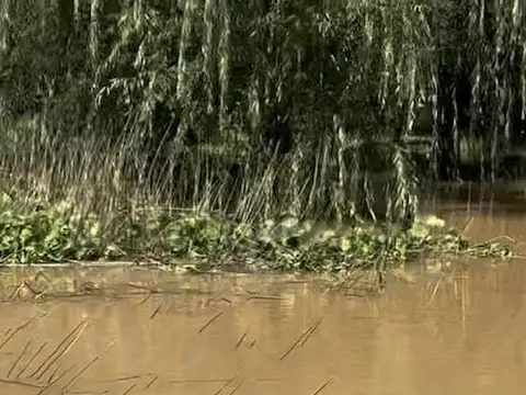 VENTA QUINTA EN  ISLAS DE SAN FERNANDO