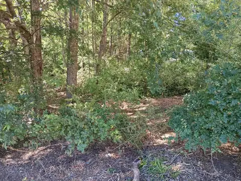 Terreno en Venta de 500,0 m2