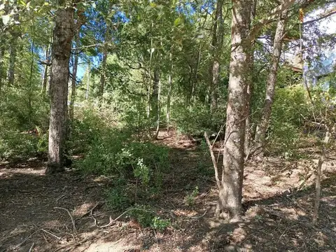 Terreno en Venta en San Martin de los Andes, USD 52.500