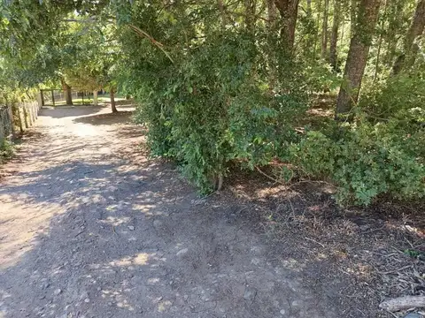 Terreno Lote  en Venta en Los Riscos, San Martin de los Andes, Patagonia