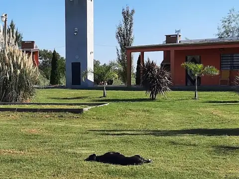 Ruta Provincial 2 100