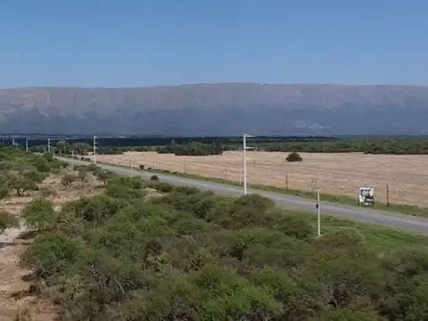 Valle de los Comechingones, Villa de Merlo 100