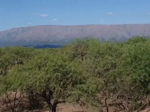 Terreno en Venta de 607,0 m2